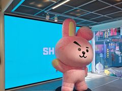 -line friends(明洞旗舰店)