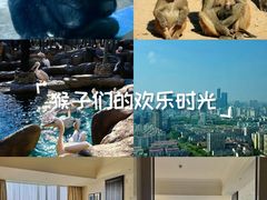 -石家庄市动物园