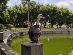 -梵天禅寺