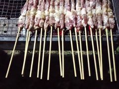 -民族烤羊·烤羊肉串·烤羊排(南城店)