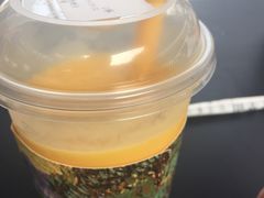 -野萃山·潮汕厚果汁(十亩地店)