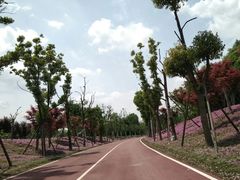 -白鹭湾湿地公园