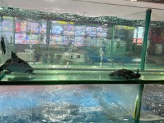 -绿雅居原生态农庄(小涌店)