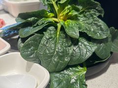 -海底捞火锅(公益西桥店)