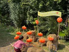 -HERRE·FARM 赫尔露营农场·团建聚会包场