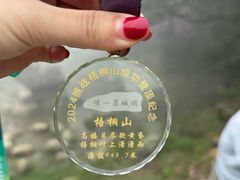 -梧桐山风景名胜区