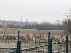 -溱湖国家湿地公园