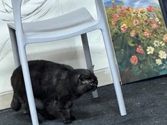 -八哥美术·成人美术画室(总校区)
