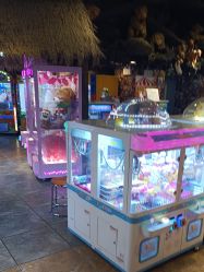 -卡通尼·Safari非洲探索乐园·生日会(金桥国际商业广场店)