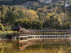 -龙头寺公园
