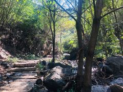 -云岫谷自然风景区
