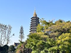 -红梅公园