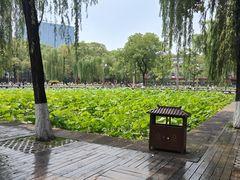 -四川大学(望江校区)