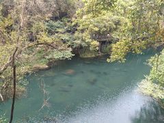 -石台牯牛降景区