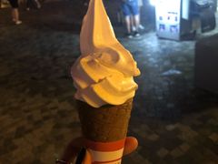 -富豪雪糕车流动点(尖沙咀店)