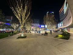-中集金地美兰城
