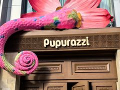 -帕帕拉兹宠物(亚洲旗舰店)