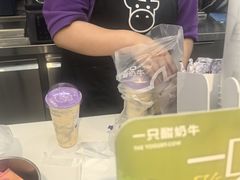 -一只酸奶牛(时代天街A馆店)
