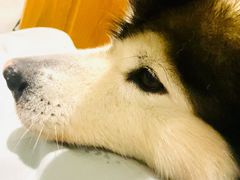 -welle味蕾(沃尔玛店)