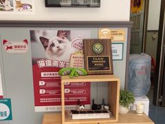 -伟伟宠物医院·瑞派猫友好医院·猫科(光谷店)