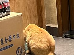 -大米·京都小酒馆·炭烧海鲜·烧鸟(龙口东路店)