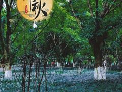 -沙河三洞古桥公园