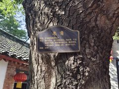 -牟氏庄园