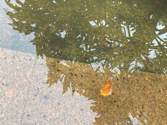 -云溪植物园
