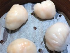 晶莹鲜虾饺-添好运点心专门店(深水埗店)