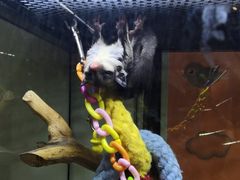 -三旗百汇商品城