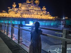 -泰达航母主题公园