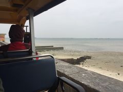 -北海金海湾红树林生态旅游区