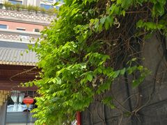 -佛山顺德香云纱园林酒店(清晖园店)