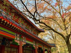 -灵谷景区