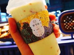 -野萃山·潮汕厚果汁(十亩地店)