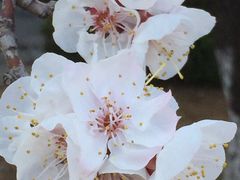 -金石唐风国际温泉会馆