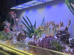 -街角等你.大连海鲜烧烤.经典铁板海鲜串(西安路店)