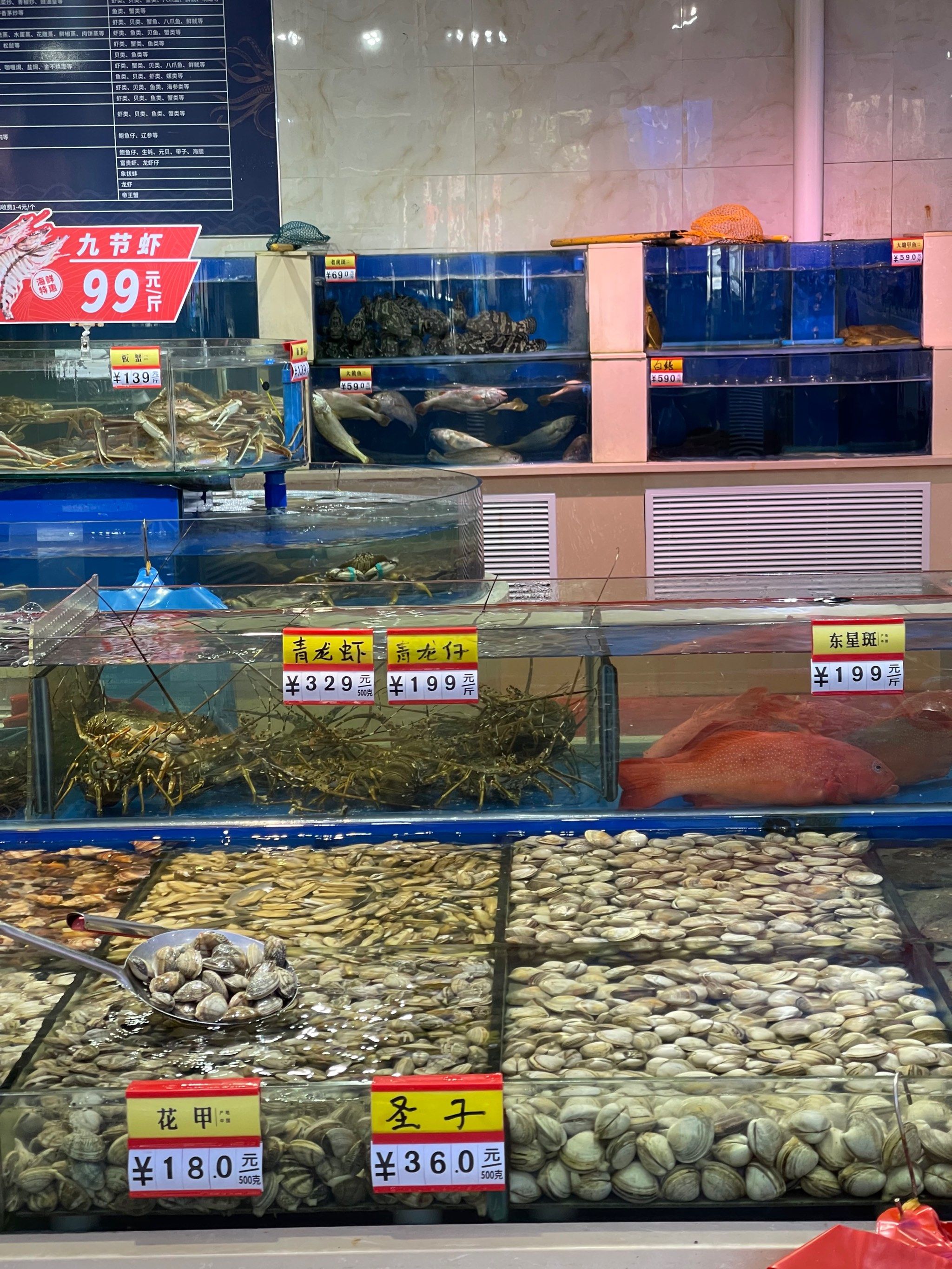 刚一进店就被左手边的海鲜池震惊了,
我随便去逛家超市也没有这么多