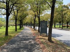-复旦大学江湾校区食堂