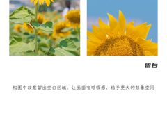 -CGWANG王氏教育(上海校区)