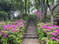-莫干山风景区