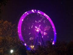 -酒城大贰火锅旗舰店