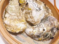 -杨氏青龙虾·羊蝎子(金盛路总店)