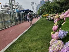 -北外滩滨江绿地