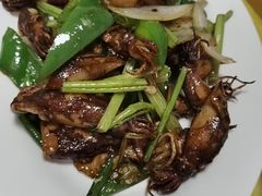 -金豪沙姜鸡饭店(昌平路店)