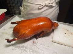 -秀儿四九城·新京菜(亚运村鸟巢店)