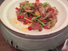 -鲁宴·鲁煨黄河生态大鲤鱼(月坛店)