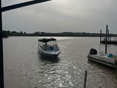 -洪湖生态旅游区