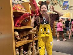 -奥兰多迪士尼动物王国乐园