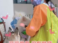 -怪兽屋·羊驼·猫咖·狗咖(俊华广场店)